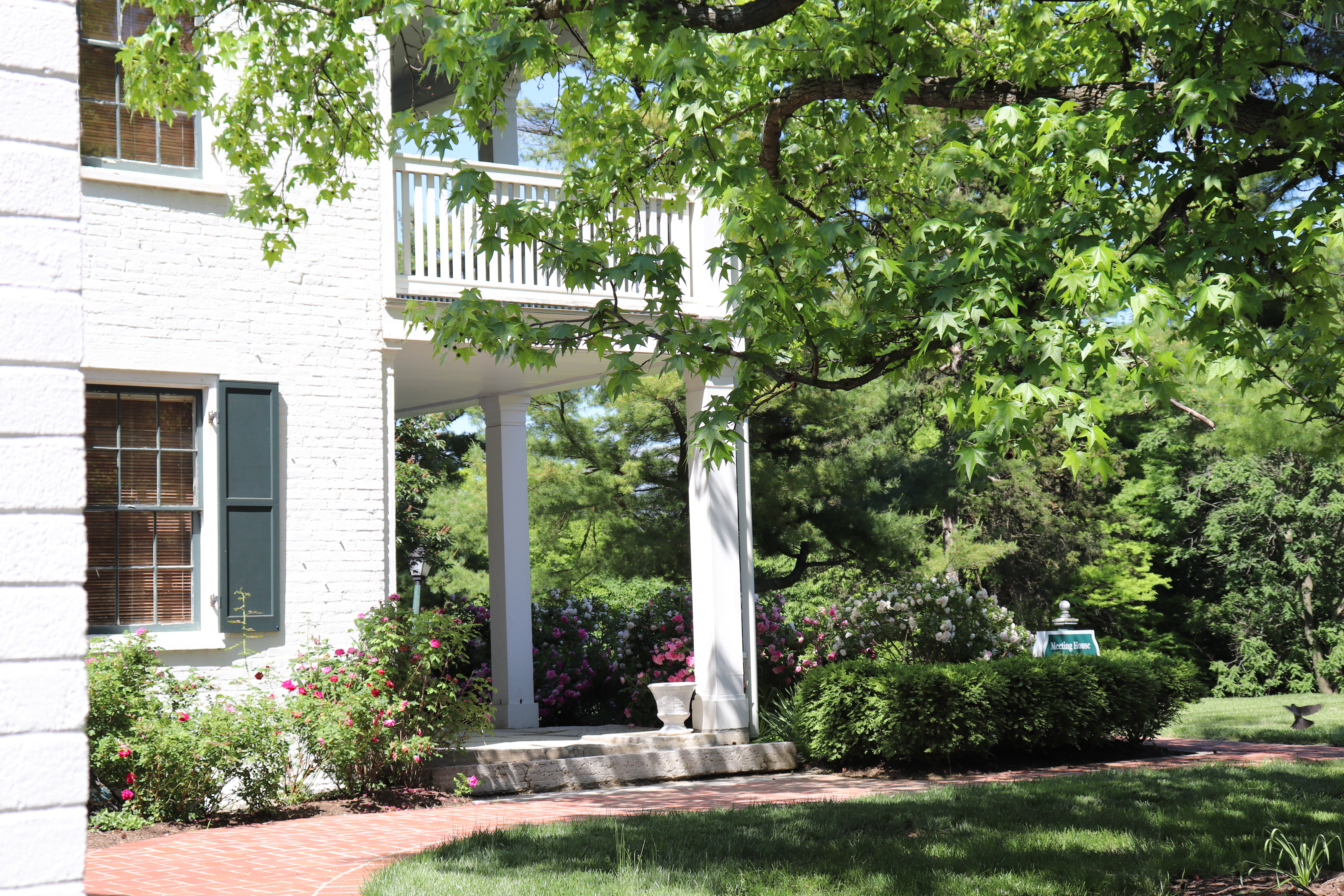 Photo May 23, 2 39 29 PM